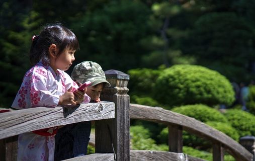 你看见了鱼吗？