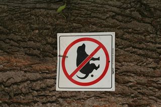 商品标签,公共标示,交通标志,指示牌,非停车区,没有*