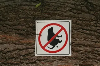 商品标签,公共标示,交通标志,指示牌,非停车区,没有*