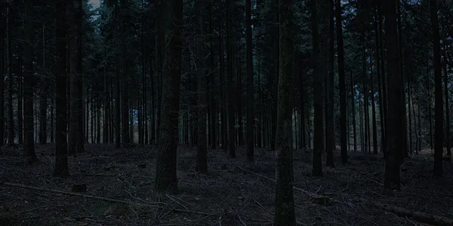 迷失在黑暗中（万圣节恐怖故事）