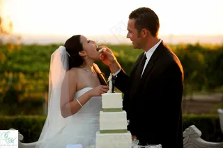 婚纱写真,婚礼,人物特写,合照,商务洽谈,桑切斯-173