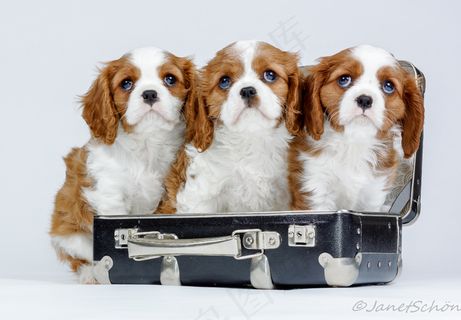 准备去他们的新家旅行;）