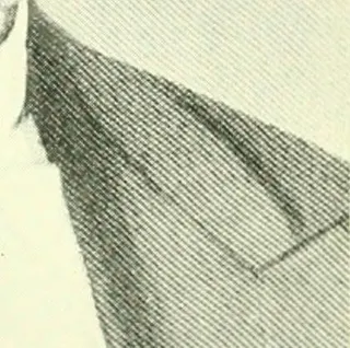 图片来自“纽约州的历史，政治和*的历史”的第220页，（1922年）