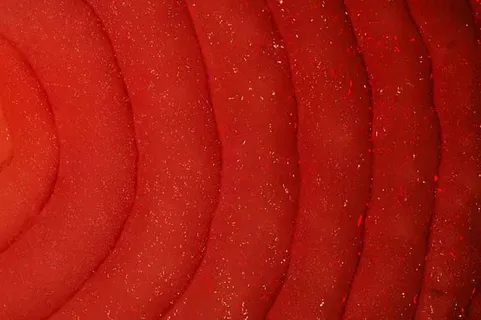 布料图,摇粒绒,涤棉,毯子,洋葱,洋葱0107 0224