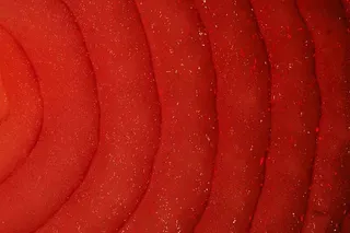 布料图,摇粒绒,涤棉,毯子,洋葱,洋葱0107 0224