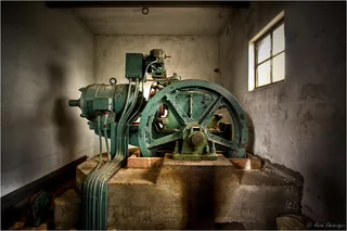 自行车,屏幕截图,铜车马,盆栽植物,粮油加工,电梯引擎@ Reesink（HDR）