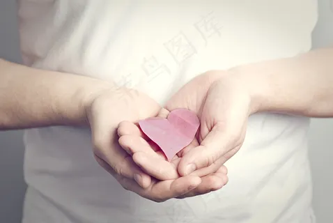 我的心是她的 我的心是她的