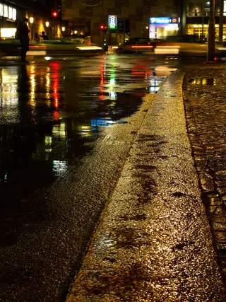 柏林动物园-夜灯