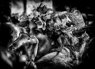 杰克在绿色节日黑斯廷斯