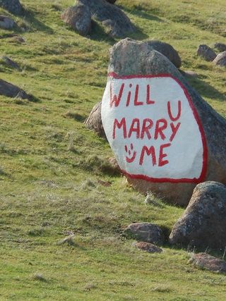 碑刻,文字图片,花草牌,工艺品,树,洛基提案