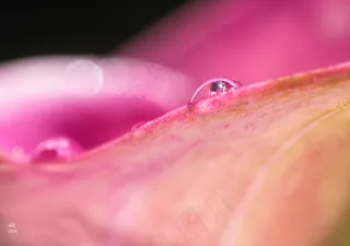 水珠图,雨珠,晨露,手,手指,露滴