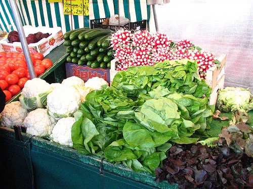 菜市场,生菜,大棚,白菜,烟叶,法国市场产品