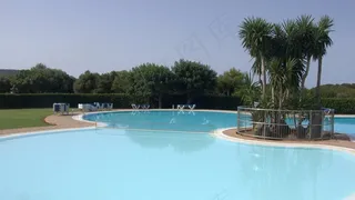 游泳池,海洋,体育场馆,树,温泉,清晨-到游泳池