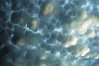 葡萄,水母湖,模糊图片,天空,上海海洋水族馆,哺乳动物