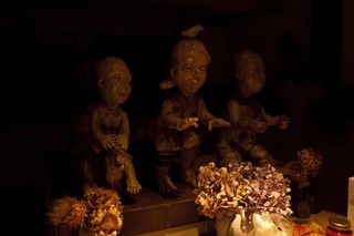 令人毛骨悚然的鸟儿