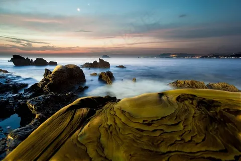 *北部海岸---北海岸 *北部海岸---北海岸