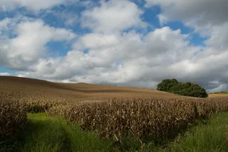 草原,天空,山峦,湖泊,风景,秋天的颜色