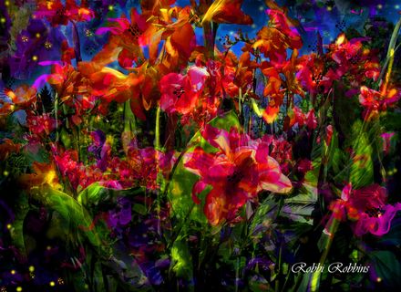 植物,郁金香,死不了花,花卉,萱草,幻想