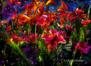 植物,郁金香,死不了花,花卉,萱草,幻想