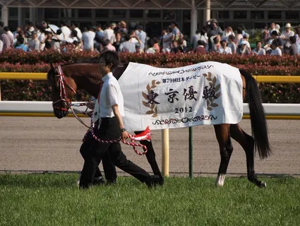 Deep Brillante-第79届日本德比冠军