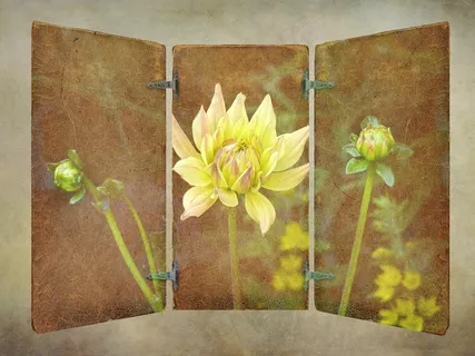 对于每个新的早晨