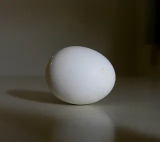 吸顶灯,鸡蛋,灯罩,蛋,蛋类,神秘蛋