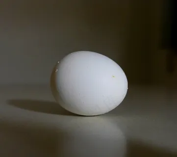 吸顶灯,鸡蛋,灯罩,蛋,蛋类,神秘蛋 吸顶灯,鸡蛋,灯罩,蛋,蛋类,神秘蛋