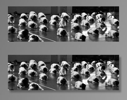 狗,,工艺品,花卉,学科