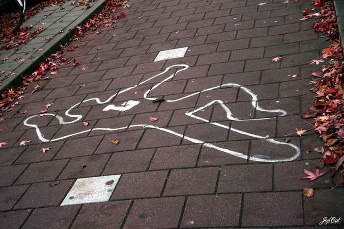 砖石材,地板砖,隔热砖,混凝土地面,城市街道,犯罪现场第一