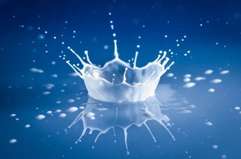 图像素材,管水母目动物,花卉,卡通动漫人物,荧光壁纸,下降