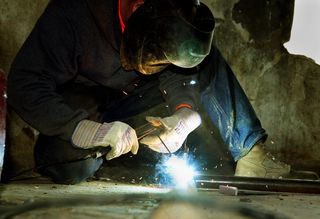 鸟类,卡通动漫人物,油画,鱼类,乌龟,海上作战工程师焊接大门