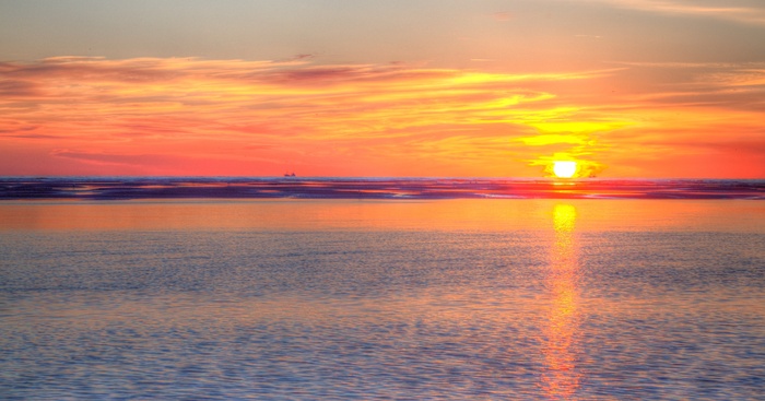 在血红色的天空下