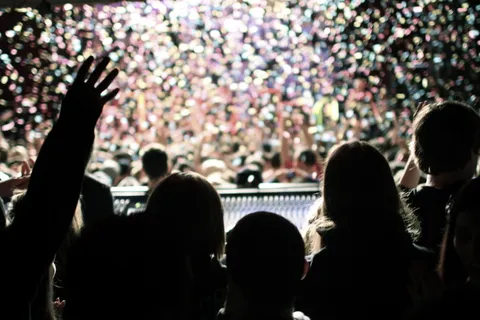 流行朋克的《 Not Dead Chicago》