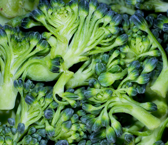 西兰花,菜心,芥蓝,乌塌菜,蒜蓉西兰花,西兰花