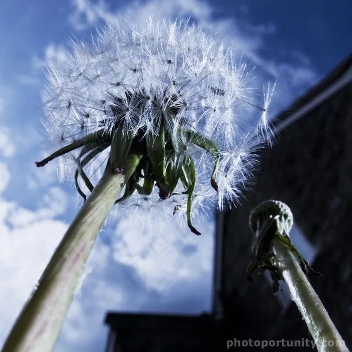 我掩饰了所有所说的一切，没什么意思