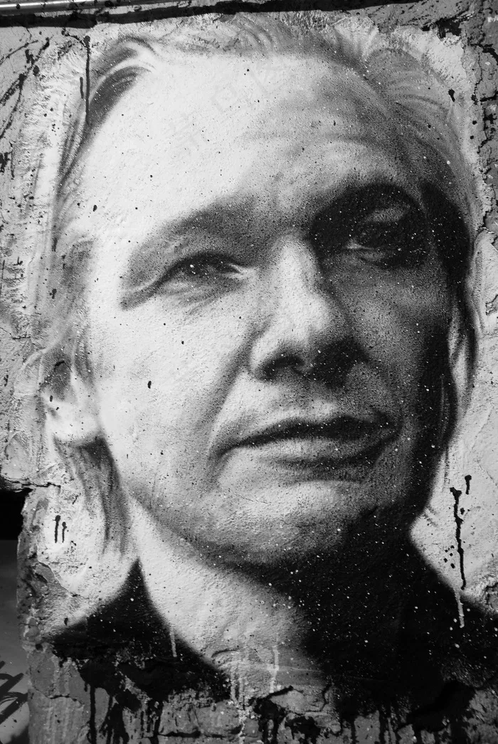 朱利安·阿桑奇（Julian Assange）画肖像-Wikileaks