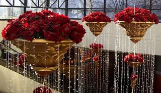 工艺品,鸡冠花,花卉,灯笼,蛋糕,浮花