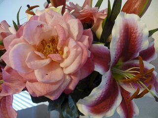 粉百合,六出花,百合花,香水百合,鲁菏红,房子花