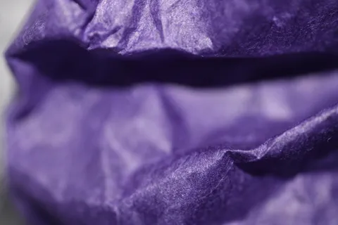 植物,布料图,被子,床单,牛仔裤,紫色包装纸