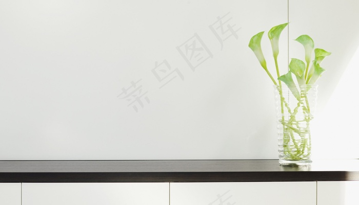 相框,新芽,室内盆栽植物,窗台摆设,,内饰