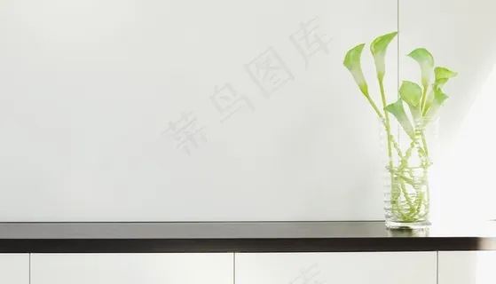 相框,新芽,室内盆栽植物,窗台摆设,,内饰