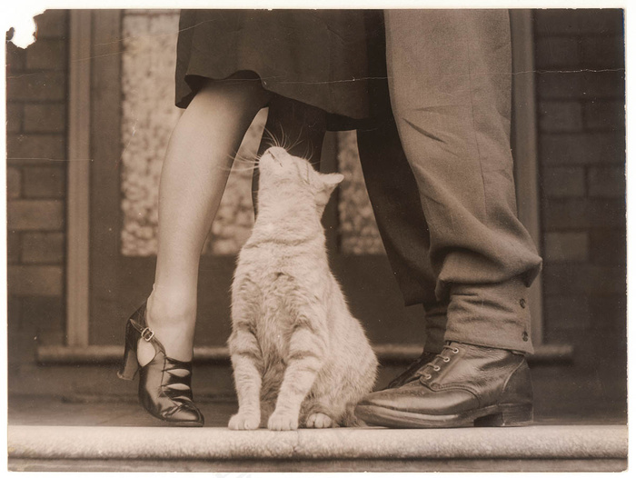 士兵的再见和猫的Bobbie，悉尼， 1939年左右。 1945年/山姆·胡德（Sam Hood）