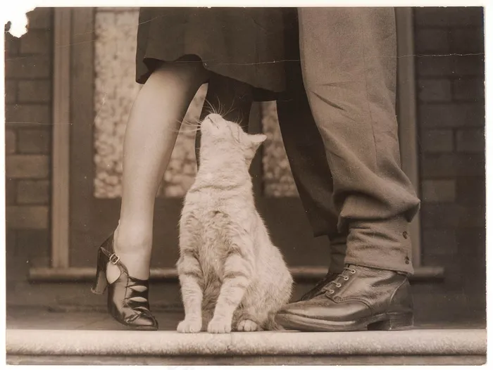 士兵的再见和猫的Bobbie，悉尼， 1939年左右。 1945年/山姆·胡德（Sam Hood）