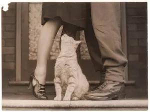 士兵的再见和猫的Bobbie，悉尼， 1939年左右。 1945年/山姆·胡德（Sam Hood）
