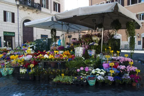 紫露草属,自然公园,花店,游乐场,油画,Floristería 紫露草属,自然公园,花店,游乐场,油画,Floristería