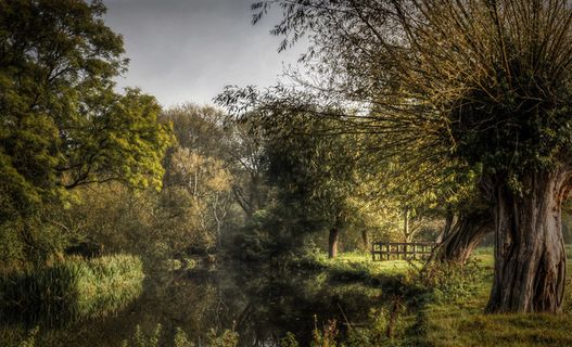 273 / 365v2稳定国家