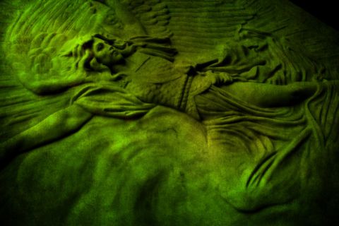 奇异的存在 奇异的存在