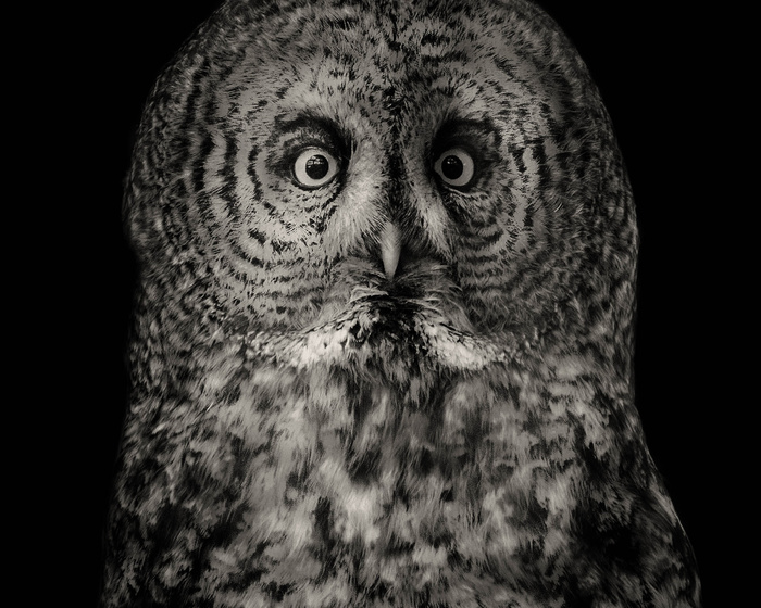 想象一下我的惊喜