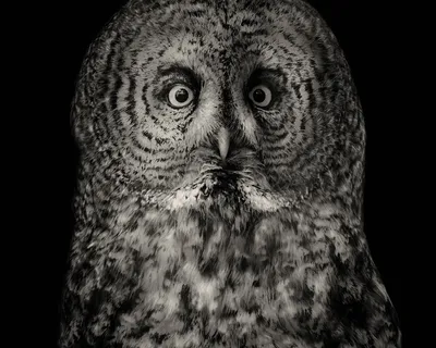 想象一下我的惊喜