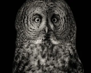 想象一下我的惊喜